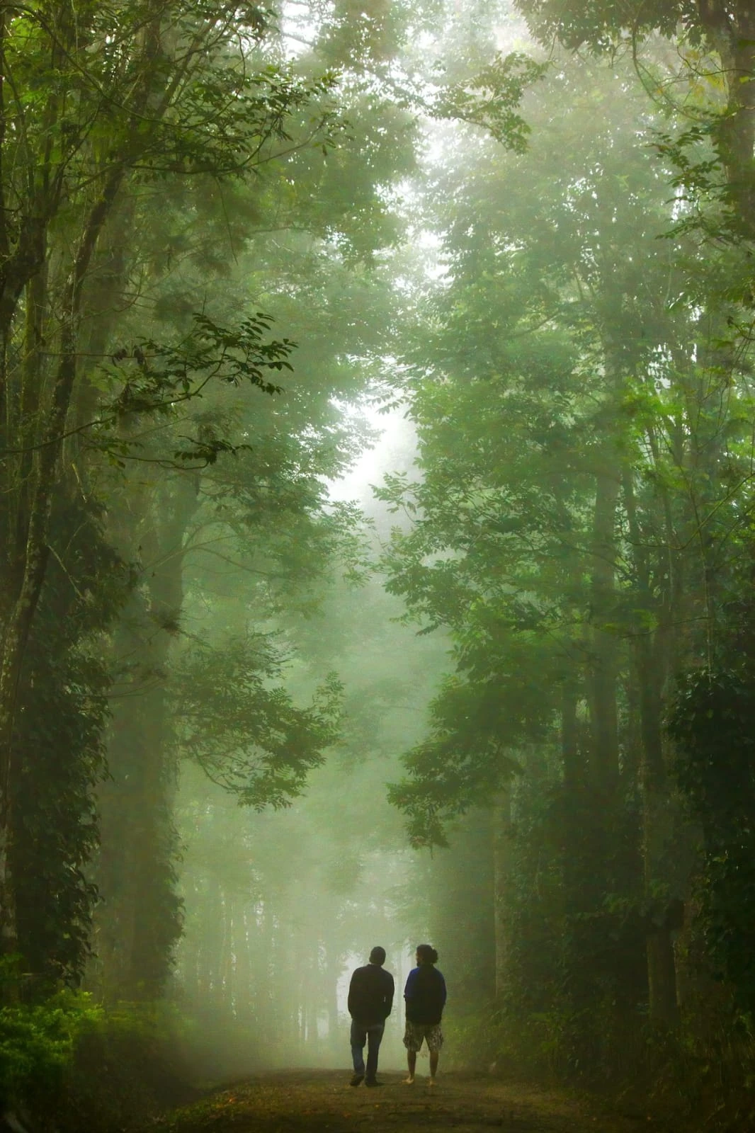 South India visual 3