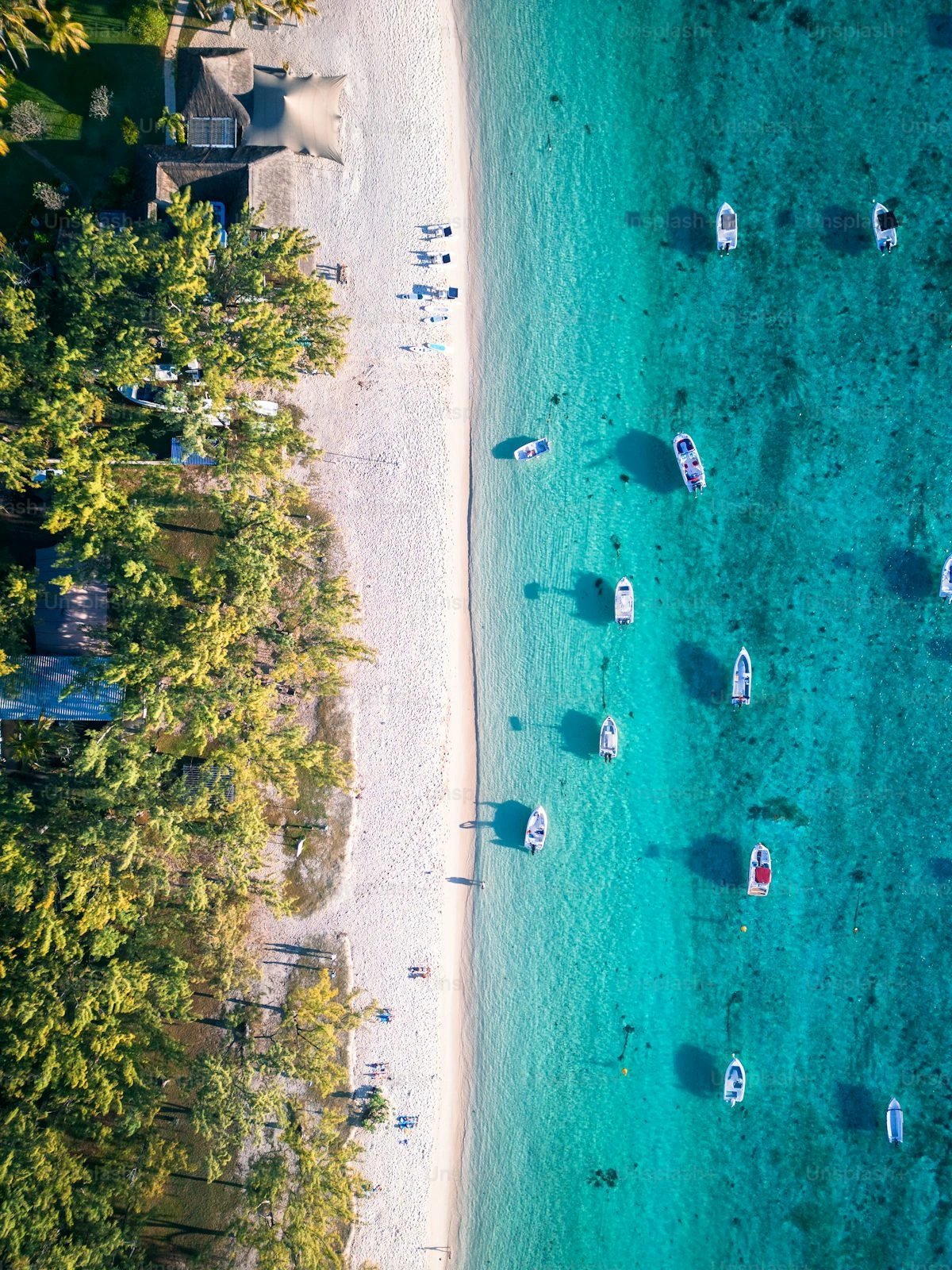 East India visual 2