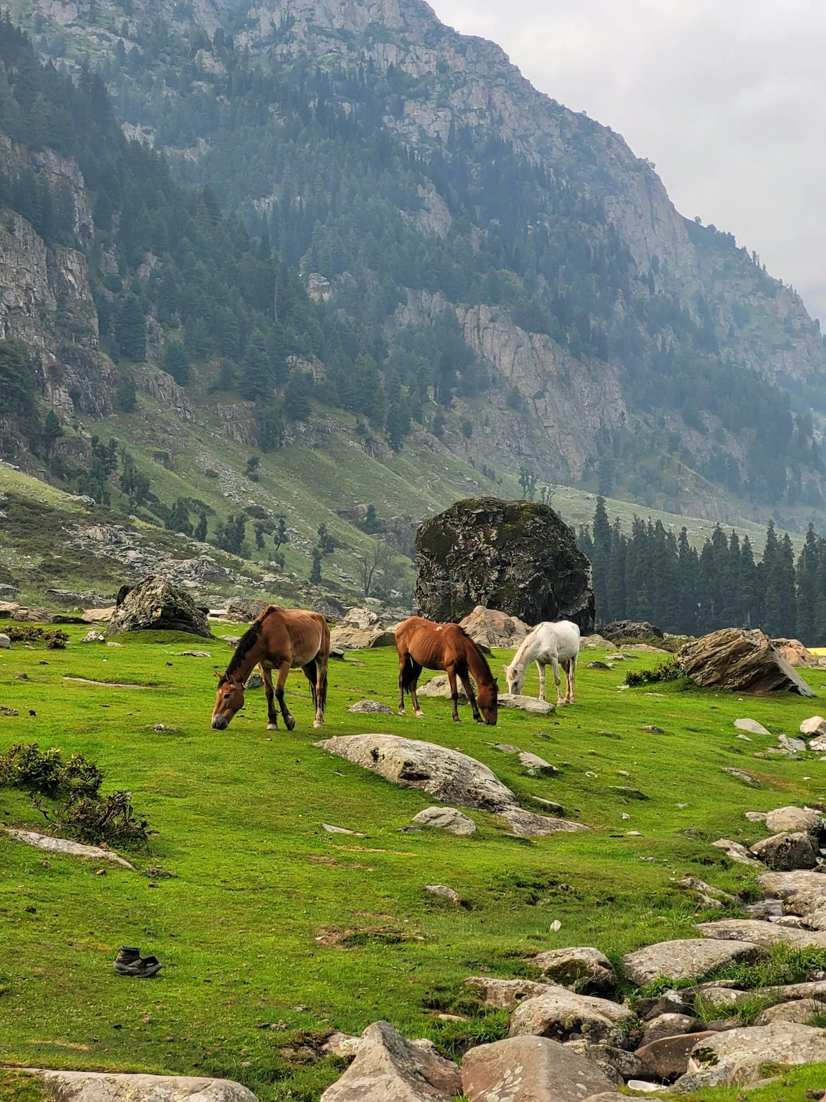 Himalayan Healing