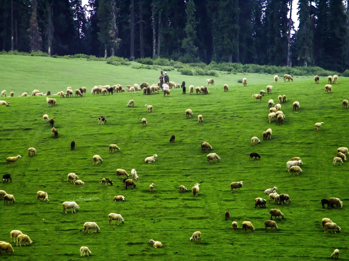 Explore India view