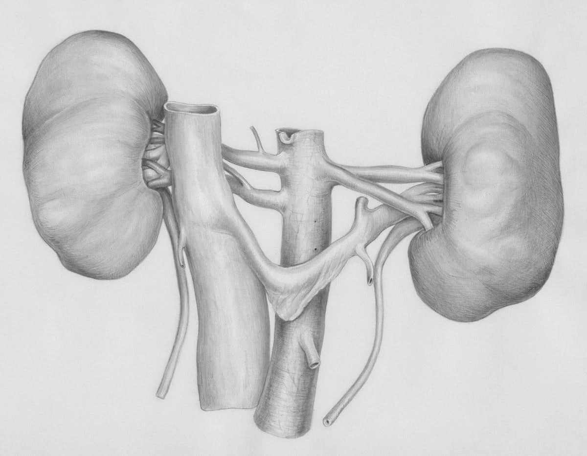 Medyonix Kidney Healthcare 10